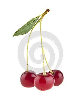 Red juicy cherry isolated on white background