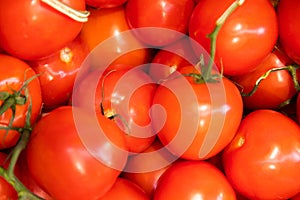 Red juicy meaty pile of glazed tomatoes close-up, vegetable background, salad ingredient