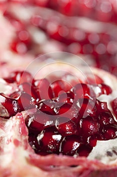 Red juicy pomegranate background, super macro