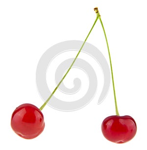 Red juicy ripe cherry isolated on white background