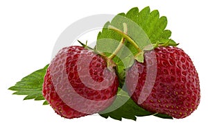 Red, juicy, ripe strawberry with green leaves Isolated on a white background close-up