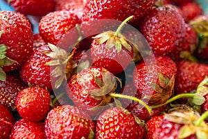 Red juicy strawberries on a plate