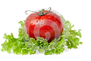 Red juicy tomato with litho of the salad