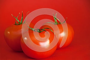 Red Juicy Tomatoes