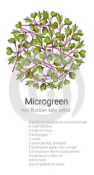 red kale microgreen salad