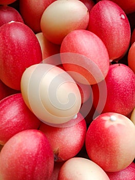 Red karonda fruit