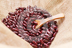 Red kidney bean seed in sack with spoon.