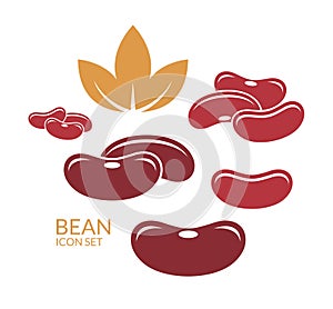 Red kidney bean