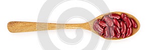 Red kidney bean in wooden spoon isolated on white background. Top view. Flat lay