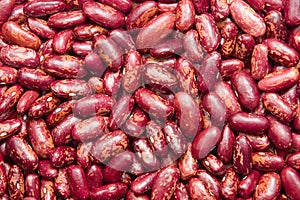 Red kidney beans