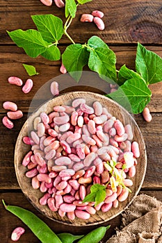 Red kidney beans. Haricot bean