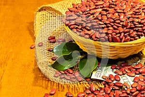 Red Kidney beans in a small woven basket on an artesan weave fabric, twenty USD bills
