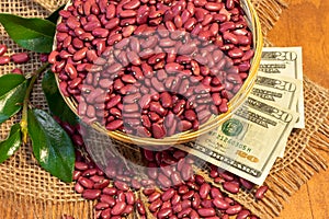 Red Kidney beans in a small woven basket on an artesan weave fabric, twenty USD bills photo
