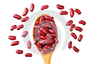 red kidney beans in wooden spoon isolated on white background. top view