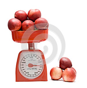 Red kitchen scale weighting nectarines photo