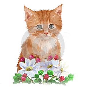 Red kitten and garden flowers. Watercolor drawing