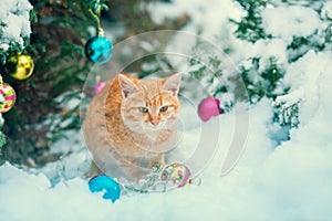 Red kitten sitting near Christmas tree