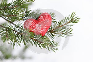 red knitted heart lies on the branches of a Christmas tree in winter