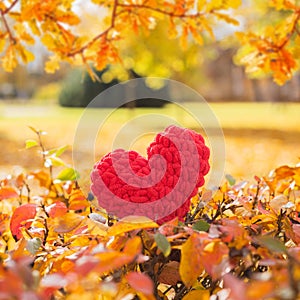 Red knitted heart on yellow maple leaves in autumn park. Concept of romantic love, fall season, autumn background, square frame