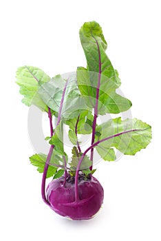 Red Kohlrabi