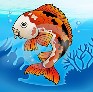 Red koi fish in water