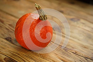 Red kuri hokkaido pumpkin