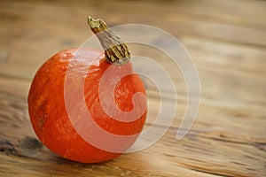 Red kuri hokkaido pumpkin