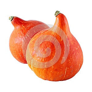 Red kuri squash