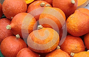 Red kuri squash