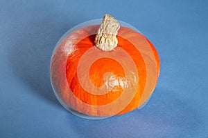 Red kuri squash on blue