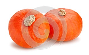 Red kuri squash path isolated