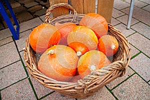 Red kuri squash pumpkins in a basket