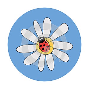 Red ladybird on a camomile flower. vector