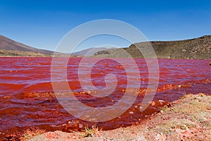 Red lagoon. Laguna Roja, Altiplano Chileno