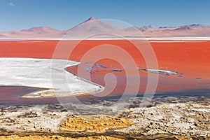 Red Lagoon Red Lake there are many colors, red, yellow, blue, white, Eduardo Avaroa andean fauna National Reserve, Bolivia