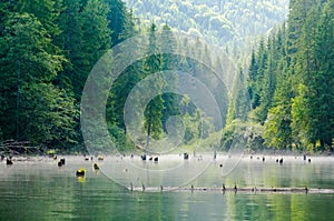 Red Lake (Lacul Rosu) in Transylvania