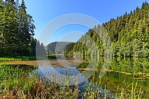 Red lake / Lacul rosu view to the Red Creek end.