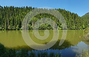 Red Lake natural dam lake in Romania - Lacul Rosu