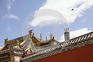 The red Lama Temple and the swallow