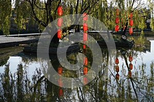 Red Lamp in Willow Tree