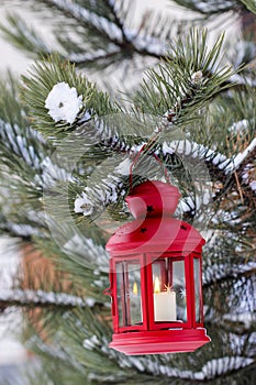 Red lantern hanging on fir branch