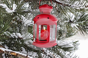 Red lantern hanging on fir branch