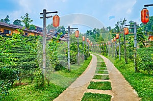 Red lanterns on the alley on tea plantation, Ban Rak Thai village, Thailand