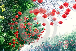 Red lanterns for chinese new year