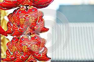 Red lanterns, red firecrackers, red pepper, red everyone, red Chinese knot, red packet...The Spring Festival is coming