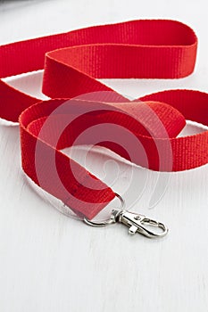 Red lanyard with metal carabiner.