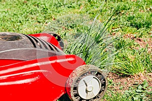 Red lawn mower