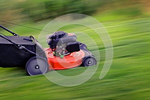 Red Lawn Mower in Lush Green Grass Mowing Lawn