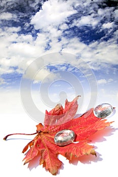 Red leaf and few glass waterdrops