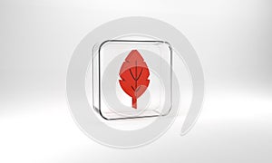 Red Leaf icon isolated on grey background. Leaves sign. Fresh natural product symbol. Glass square button. 3d